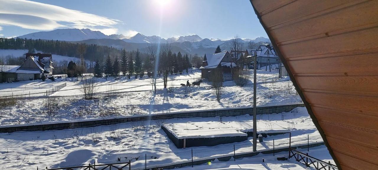 Willa Siklawa Zakopane Exteriör bild