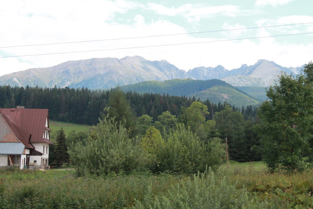 Willa Siklawa Zakopane Rum bild